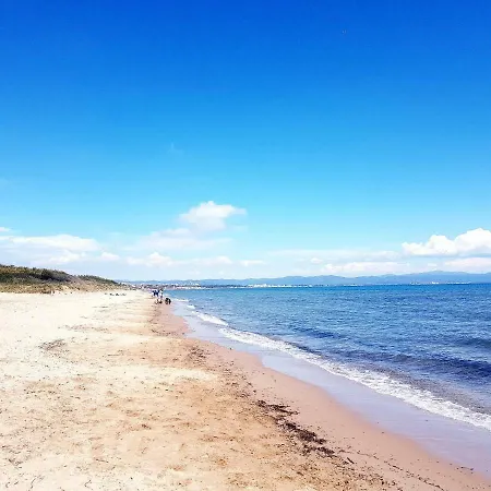 Ecrins De La Badine- Pinede