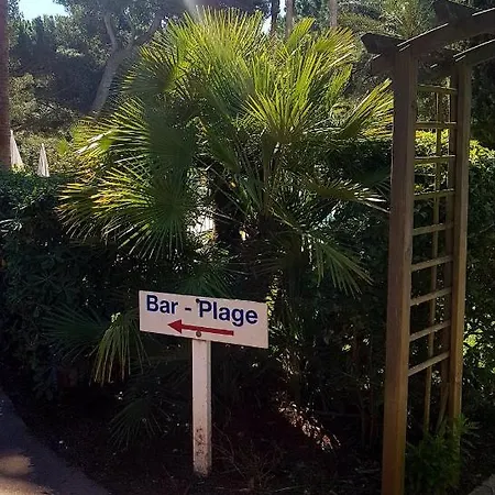 Apartment Ecrins De La Badine- Pinede Hyeres