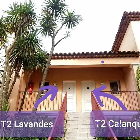 Ecrins De La Badine- Pinede *