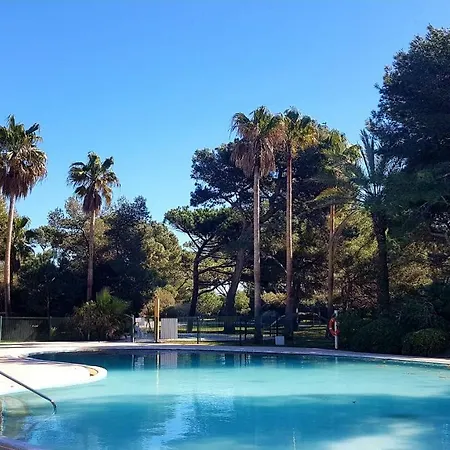 Ecrins De La Badine- Pinede Lejlighed *