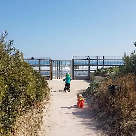 Ecrins De La Badine- Pinede