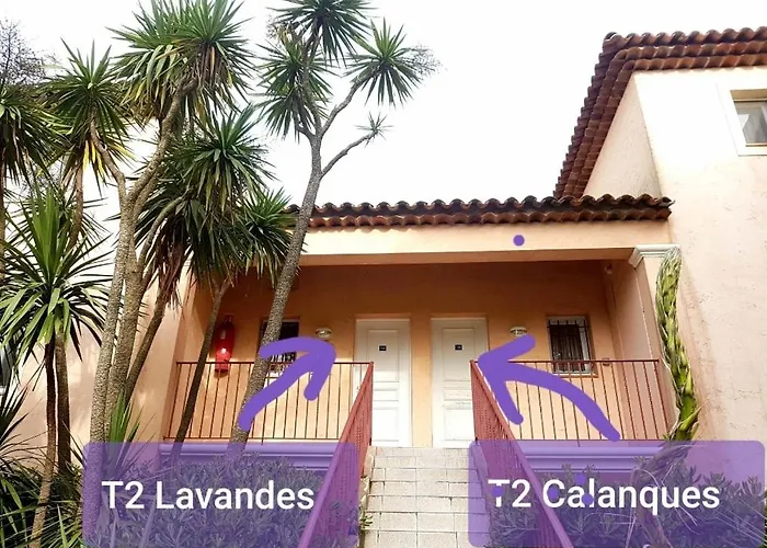 Ecrins De La Badine- Pinede *