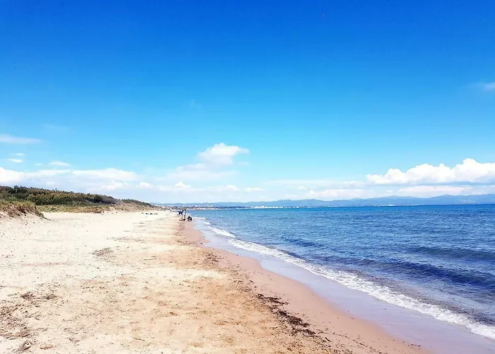 Ecrins De La Badine- Pinede