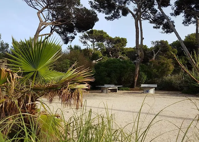 Ecrins De La Badine- Pinede Hyères
