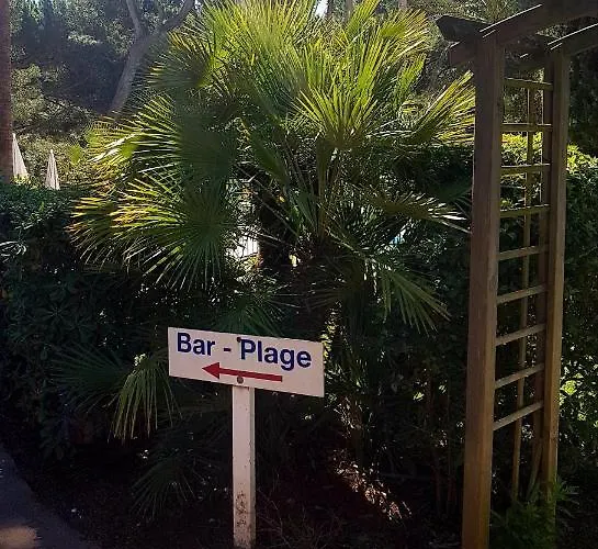 Appartement Ecrins De La Badine- Pinède Hyères